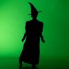 imageDisguise Girls Wicked Elphaba Costume for Girls Deluxe Official Wicked Elphaba Costume Cape and HatWicked