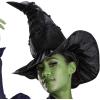 imageDisguise Womens Wicked Elphaba Costume Deluxe Official Wicked Elphaba Costume Cape and Hat for WomenWicked