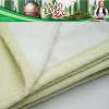 imageFranco Collectibles Wicked Elphaba Bedding Super Soft Cozy Throw 46 in x 60 in Officially Licensed ProductThe Wizard of Oz