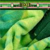 imageFranco Collectibles Wicked Elphaba Bedding Super Soft Cozy Throw 46 in x 60 in Officially Licensed ProductWicked  Born Wicked