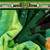 imageFranco Collectibles Wicked Elphaba Bedding Super Soft Cozy Throw 46 in x 60 in Officially Licensed ProductWicked  So Wicked