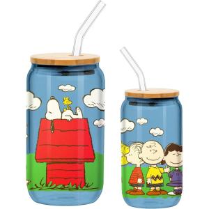 imageSilver Buffalo Wicked Featuring Elphaba Make Your Own Magic Glass Jar Tumbler with Bamboo Lid and Glass Straw 16 OuncesPeanuts Backyard