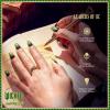 imageWICKED X imPRESS Press On Nails FileLeaders Of Oz