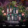 imageWICKED X imPRESS Press On Nails New Improved Adhesive Up To 10 Day HoldThe Green Elixir