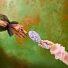 imageWet Brush Original Detangler Hair Brush Elphaba Wicked Kit  UltraSoft IntelliFlex Bristles  Detangling Brush Glides Through Tangles For All Hair Types Wet Dry ampamp Damaged  1 Brush ampamp 1 BowWicked For Good Glinda