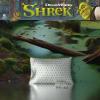imageWicked Elphaba and Glinda Beauty Silky Satin Standard Pillowcase Cover 20x30 for Hair and Skin Officially Licensed ProductShrek  Holiday