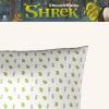 imageWicked Elphaba and Glinda Beauty Silky Satin Standard Pillowcase Cover 20x30 for Hair and Skin Officially Licensed ProductShrek  Holiday