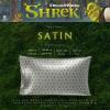imageWicked Elphaba and Glinda Beauty Silky Satin Standard Pillowcase Cover 20x30 for Hair and Skin Officially Licensed ProductShrek  Holiday