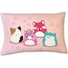 imageWicked Elphaba and Glinda Beauty Silky Satin Standard Pillowcase Cover 20x30 for Hair and Skin Officially Licensed ProductSquishmallows  Sleepy Mallow