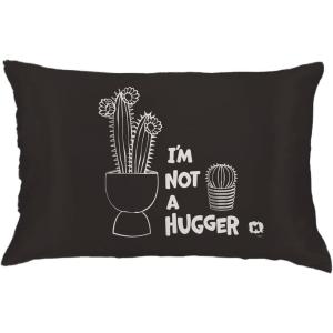 imageWicked Elphaba and Glinda Beauty Silky Satin Standard Pillowcase Cover 20x30 for Hair and Skin Officially Licensed ProductMiniverse  Cactus