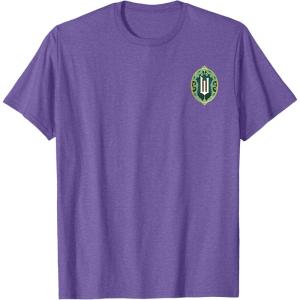 imageWicked Wizard Face Emerald City Front ampamp Back TShirtPurple Heather