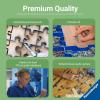 imageRavensburger  Wicked Act I  1000 Piece Jigsaw Puzzle  Bold Bright and Stunning Imagery from The New Version of Wicked  Frameable  Premium Quality  Puzzles for Adults