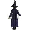 imageDisguise Wicked Elphaba Adaptive Costume Official Wicked Movie Costume Dress for Kids