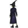 imageDisguise Wicked Elphaba Costume Official Wicked Movie Costume Outfit for Girls