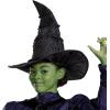 imageWicked Elphaba Costume for Girls Deluxe Official Wicked Elphaba Costume Cape and Hat Kids Size 3T4T