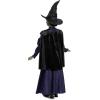 imageWicked Elphaba Costume for Girls Deluxe Official Wicked Elphaba Costume Cape and Hat Kids Size 3T4T