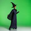 imageWicked Elphaba Costume for Girls Deluxe Official Wicked Elphaba Costume Cape and Hat Kids Size 3T4T
