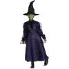imageDisguise Wicked Elphaba Adaptive Costume Official Wicked Movie Costume Dress for Kids