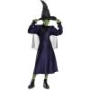 imageDisguise Wicked Elphaba Costume Official Wicked Movie Costume Outfit for Girls