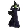 imageDisguise Wicked Elphaba Prestige Costume Official Wicked Movie Costume Outfit for Girls