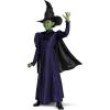imageWicked Elphaba Costume for Girls Deluxe Official Wicked Elphaba Costume Cape and Hat Kids Size 3T4T