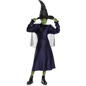 imageDisguise Wicked Elphaba Costume Official Wicked Movie Costume Outfit for Girls