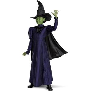 imageWicked Elphaba Costume for Girls Deluxe Official Wicked Elphaba Costume Cape and Hat Kids Size 3T4T