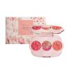 imagerem beauty Wicked For Good  Cherry Blossom Blush Palette  Blendable Creamy Formula Blurs and Perfects Skin  Blendable Creamy FormulaWarm Coral