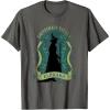 imageWicked Elphaba Destined To Fly Silhouette UnisexAdults TShirt Black SmallAsphalt Grey