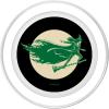 imageWicked For Good Elphaba Flying Front And Back PopSockets Adhesive PopGripMagnetic PopGrip