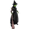 imageSwarovski Wicked Elphaba Thropp