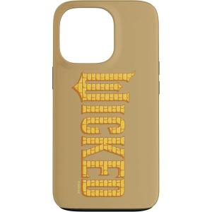 image:imageWicked For Good Logo Yellow Brick Road Case for iPhone 16iPhone 13 Pro