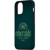 image:imageWicked City Made of Emeralds Case for iPhone 17iPhone 1212 Pro