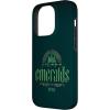 image:imageWicked City Made of Emeralds Case for iPhone 17iPhone 14 Pro