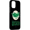 image:imageWicked for Good Elphaba Flying Front and Back Case for iPhone 17iPhone 12 mini
