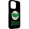 image:imageWicked for Good Elphaba Flying Front and Back Case for iPhone 17iPhone 13 Pro