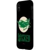 image:imageWicked for Good Elphaba Flying Front and Back Case for iPhone 17iPhone XXS