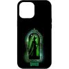 image:imageWicked Elphaba No One Mourns The Wicked Case for iPhone 17iPhone 12 Pro Max