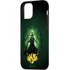 image:imageWicked for Good Elphaba Walk Through Oz Case for iPhone 17iPhone 12 mini