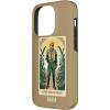 image:imageWicked for Good Made of Straw Case for iPhone 17iPhone 14 Pro