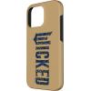 image:imageWicked For Good Ozian Pattern Logo Case for iPhone 16iPhone 16 Pro