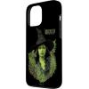 image:imageWicked for Good Elphaba Bold Portrait amp Greenery Case for iPhone 17iPhone 13 Pro Max