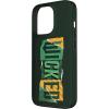 image:imageWicked For Good Torn Patchwork Logo Case for iPhone 16iPhone 13 Pro
