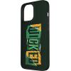 image:imageWicked For Good Torn Patchwork Logo Case for iPhone 16iPhone 13 Pro Max