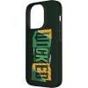 image:imageWicked For Good Torn Patchwork Logo Case for iPhone 16iPhone 14 Pro