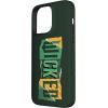 image:imageWicked For Good Torn Patchwork Logo Case for iPhone 16iPhone 15 Pro Max
