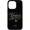 image:imageWicked Fabulously Wicked Elphaba Case for iPhone 17iPhone 13 Pro
